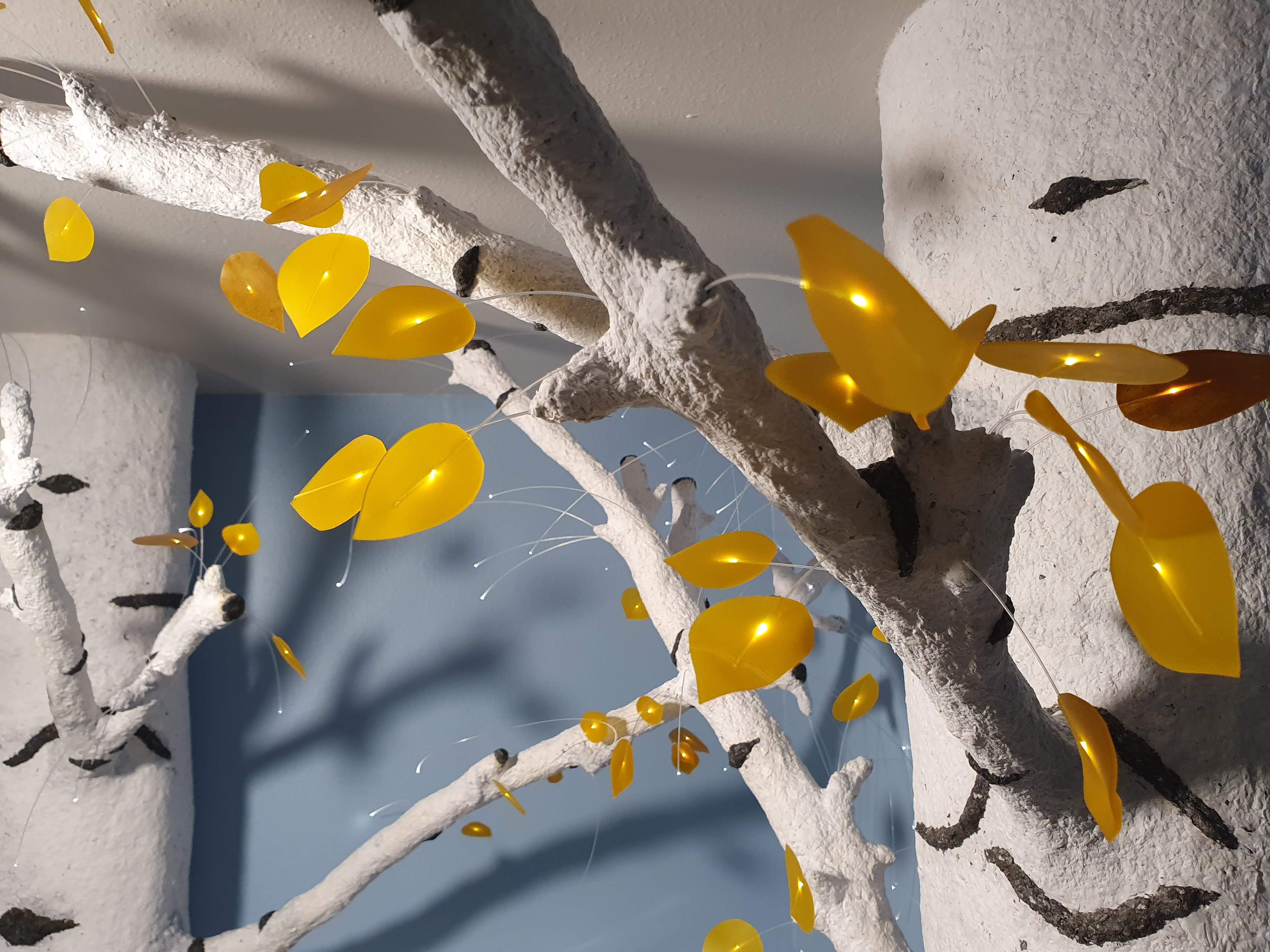 Detail view 2 of Quaking Aspen